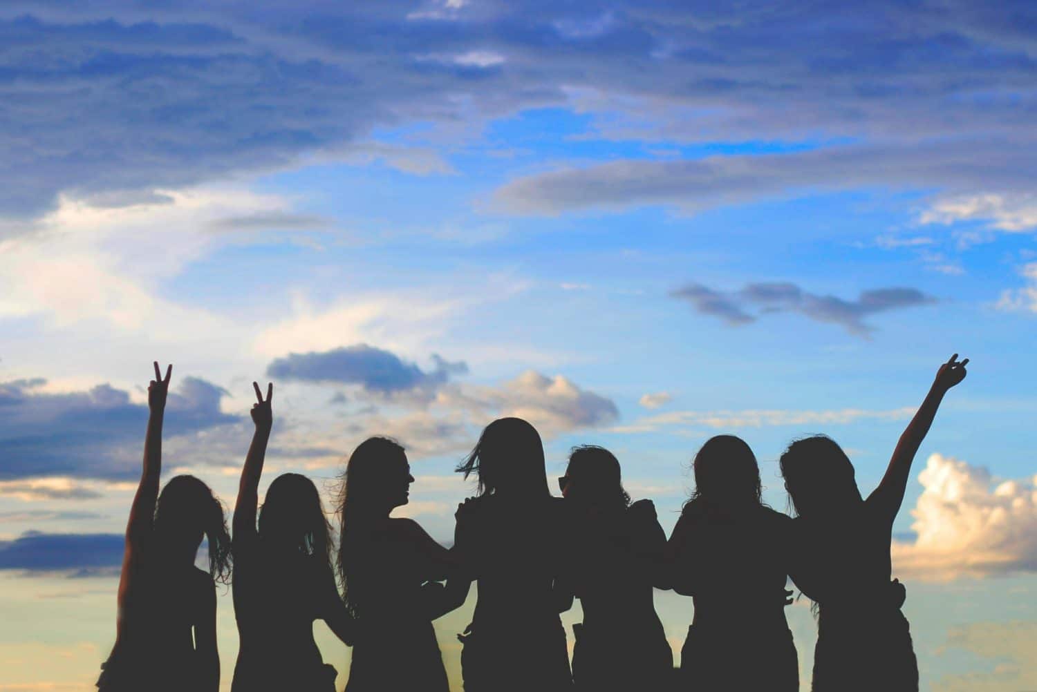 A group of friends' silhouettes, representing solidarity and empowerment in the context of women's nonprofit initiatives.