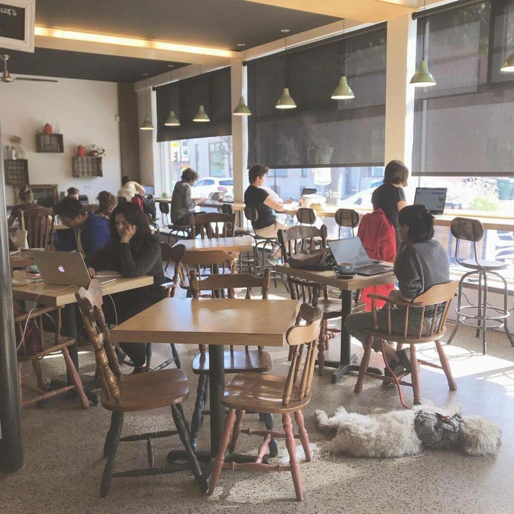 A lively cafe with people seated at tables and dogs lounging on the floor, creating a warm and inviting environment.